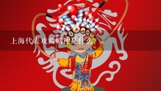 上海代表戏曲剧种是什么？