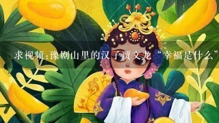 求视频:豫剧山里的汉子贾文龙“幸福是什么”唱段的词普