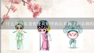 什么是山东省传统戏剧中的山东梆子和京剧的区别吗？